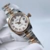 Rolex new chronograph with blank Roman dial, size 26mm