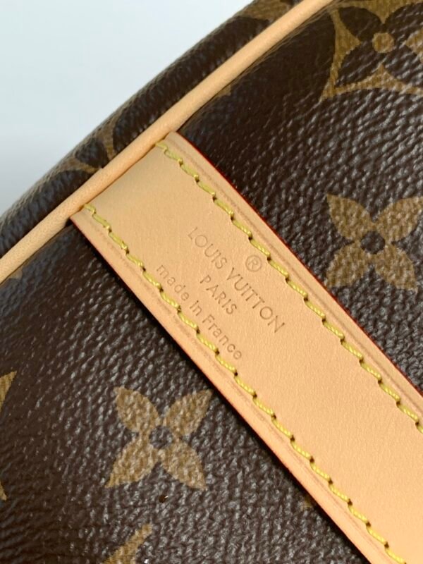 Model number M46977 - the Oldie Speedy series handbag was originally designed for travelers. By using this name, it pays tribute to the booming subway system of the 1930s. Dimensions: 25 x 19 x 15 cm (length x height x width)