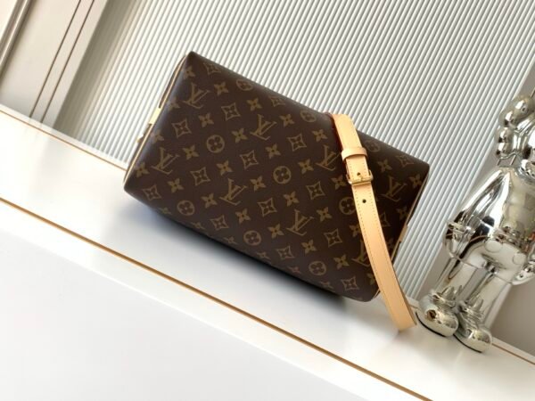 Model number M46980 - the Speedy series handbag - was originally designed for travelers in the 1930s. Its name originated from the rapidly developing subway system at that time. Dimensions: 30 x 21 x 17 cm (length x height x width)